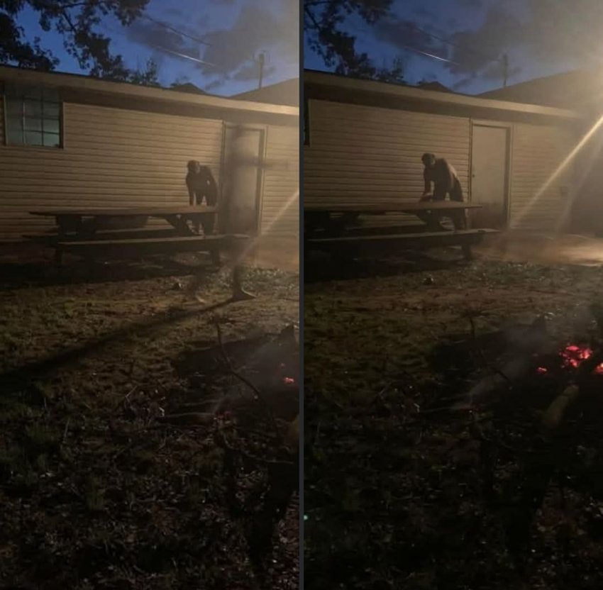 DC Inside 이미지 1