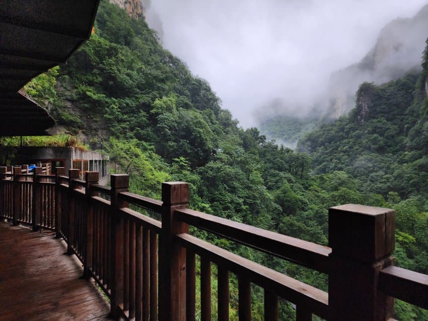 DC Inside 이미지 9