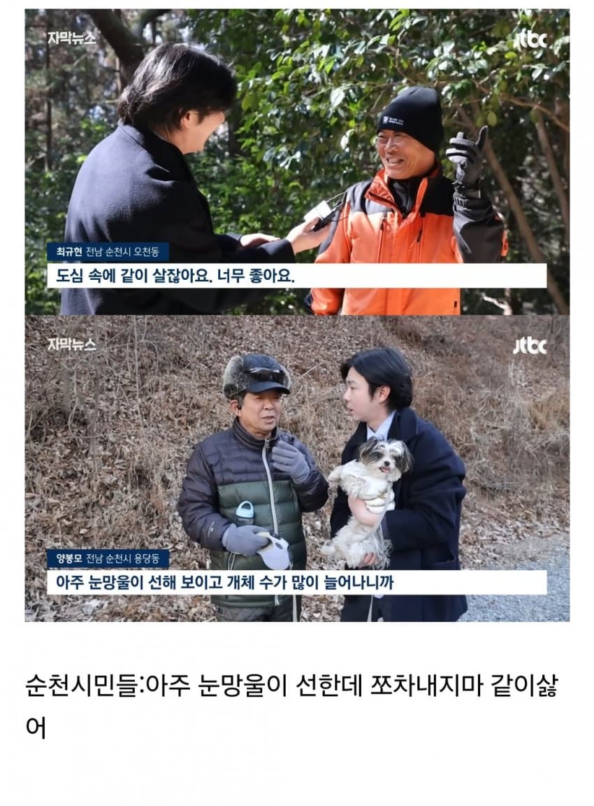 DC Inside 이미지 11