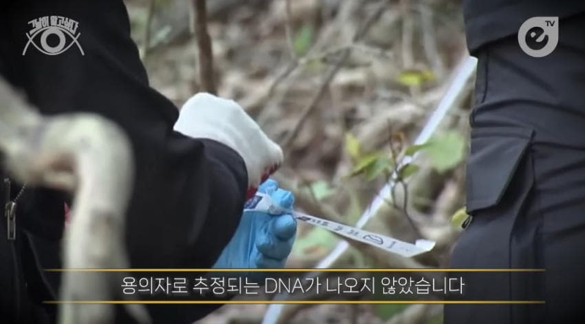 DC Inside 이미지 14