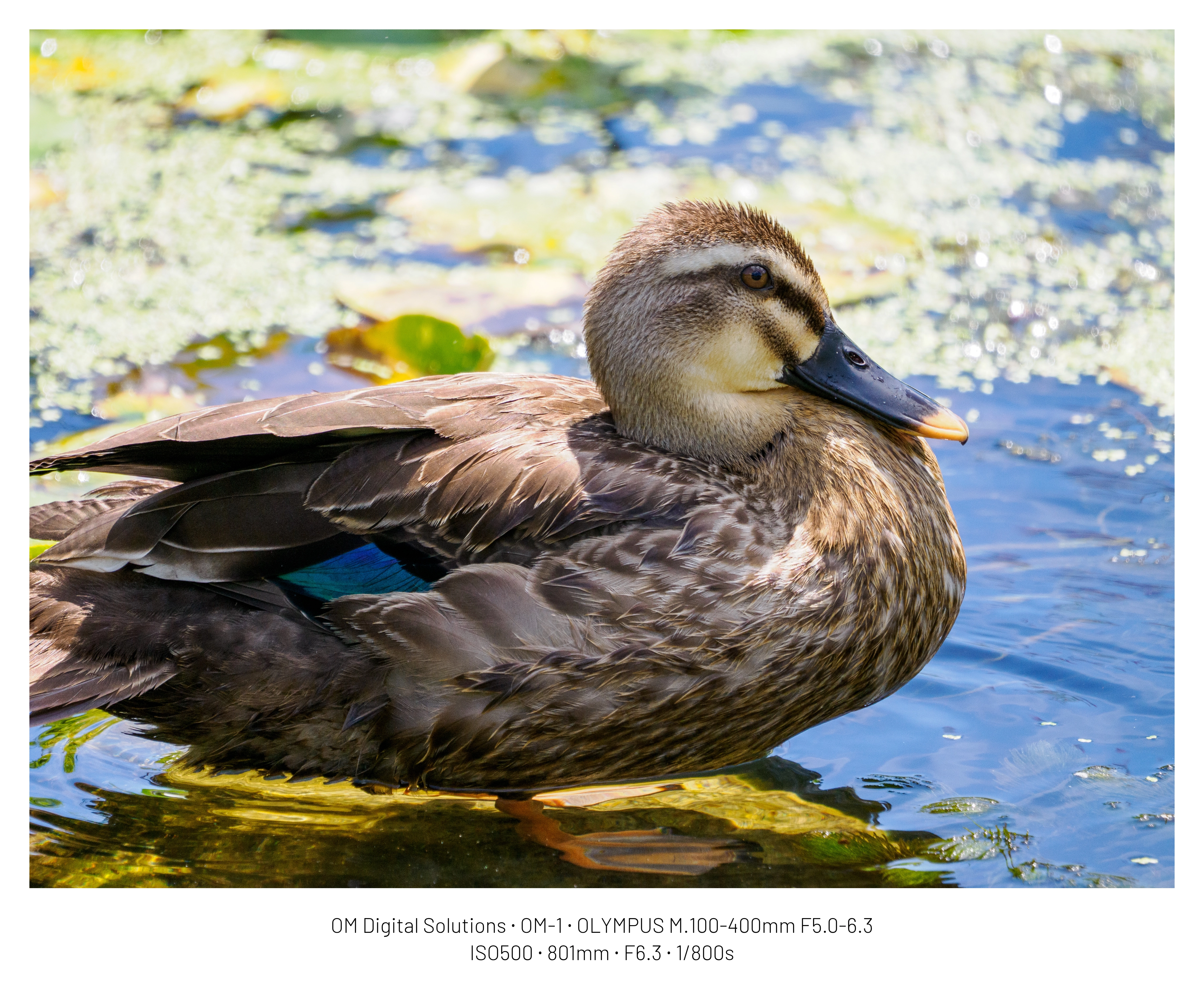 DC Inside 이미지 18