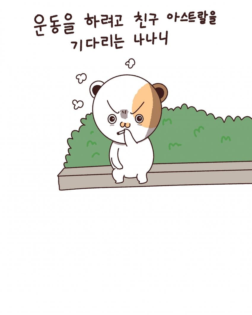 DC Inside 이미지 2