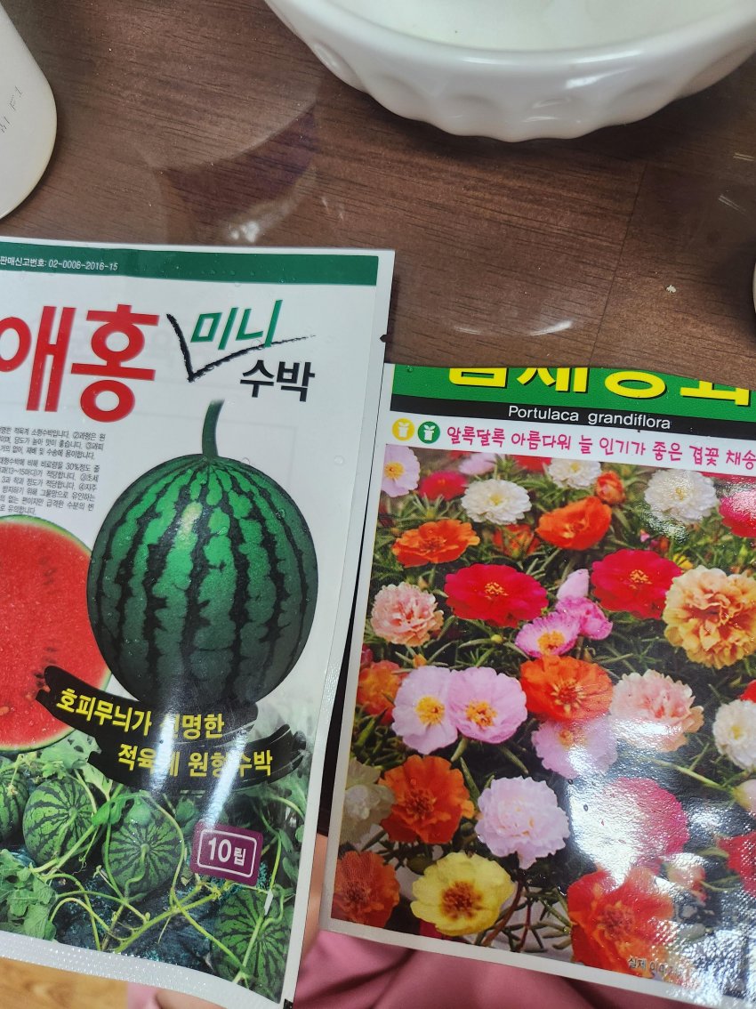 DC Inside 이미지 1