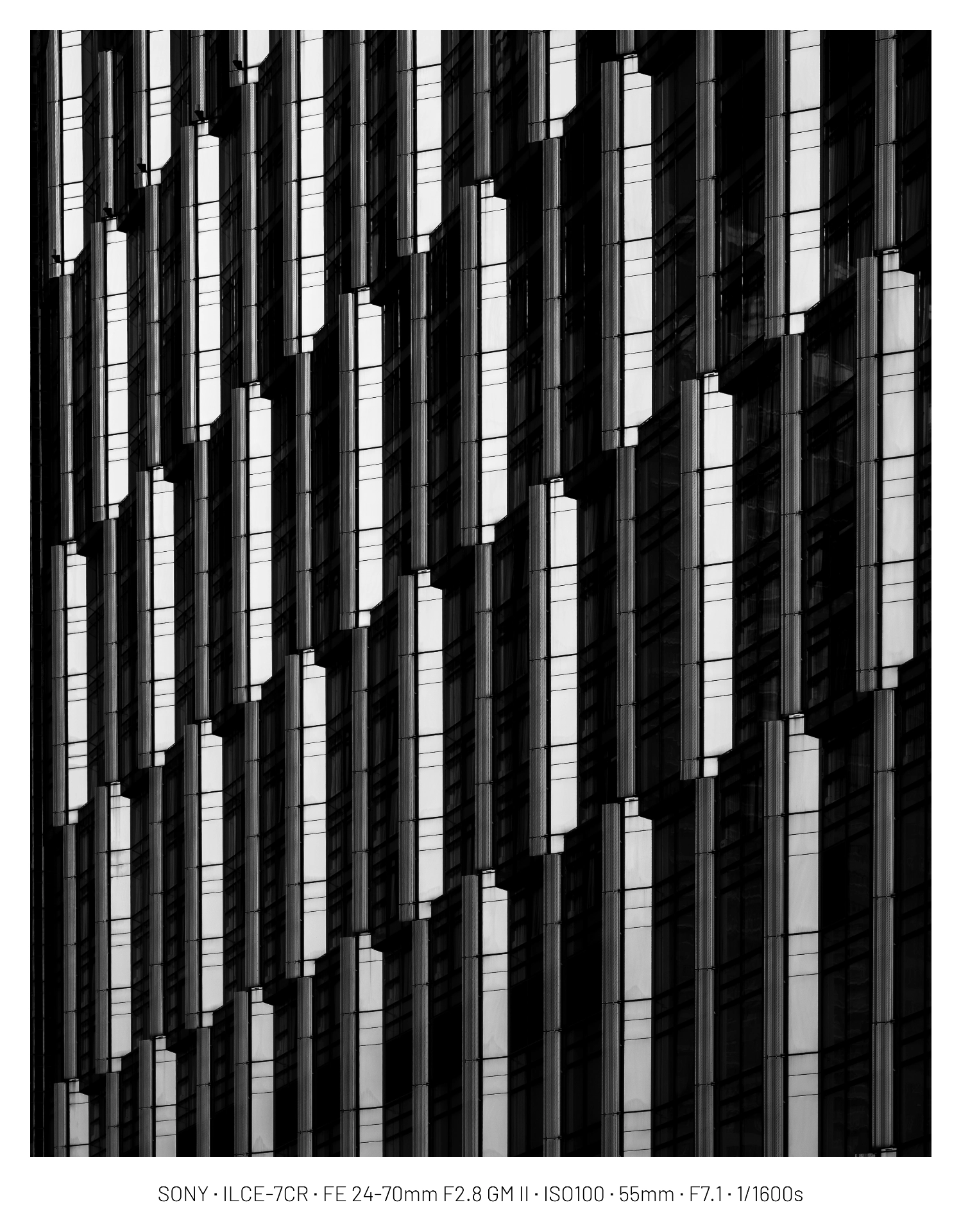 DC Inside 이미지 9