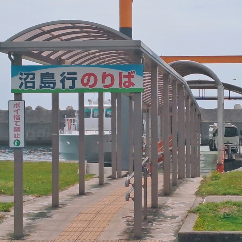 DC Inside 이미지 14