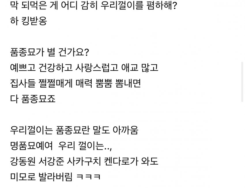 DC Inside 이미지 4