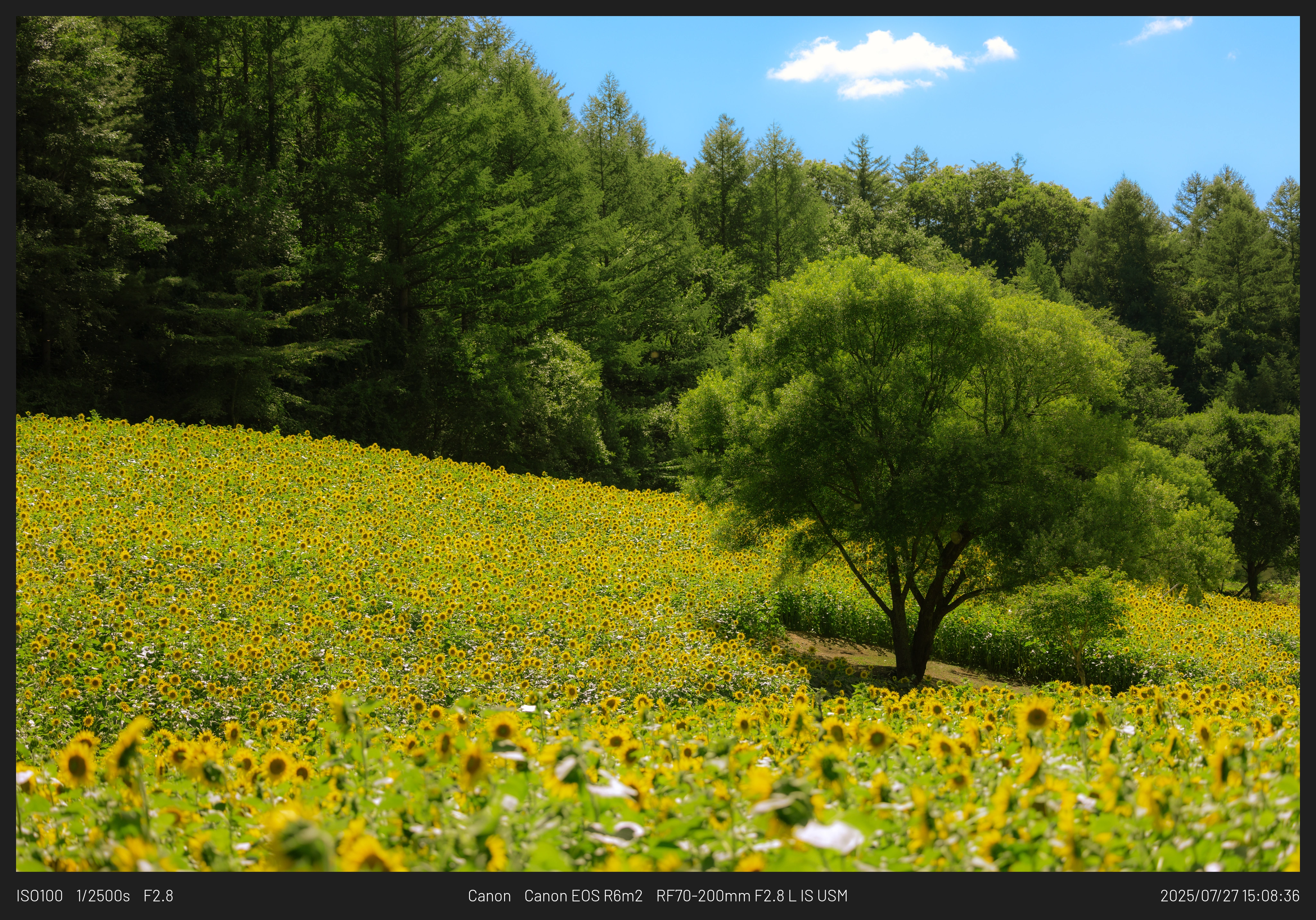 DC Inside 이미지 3