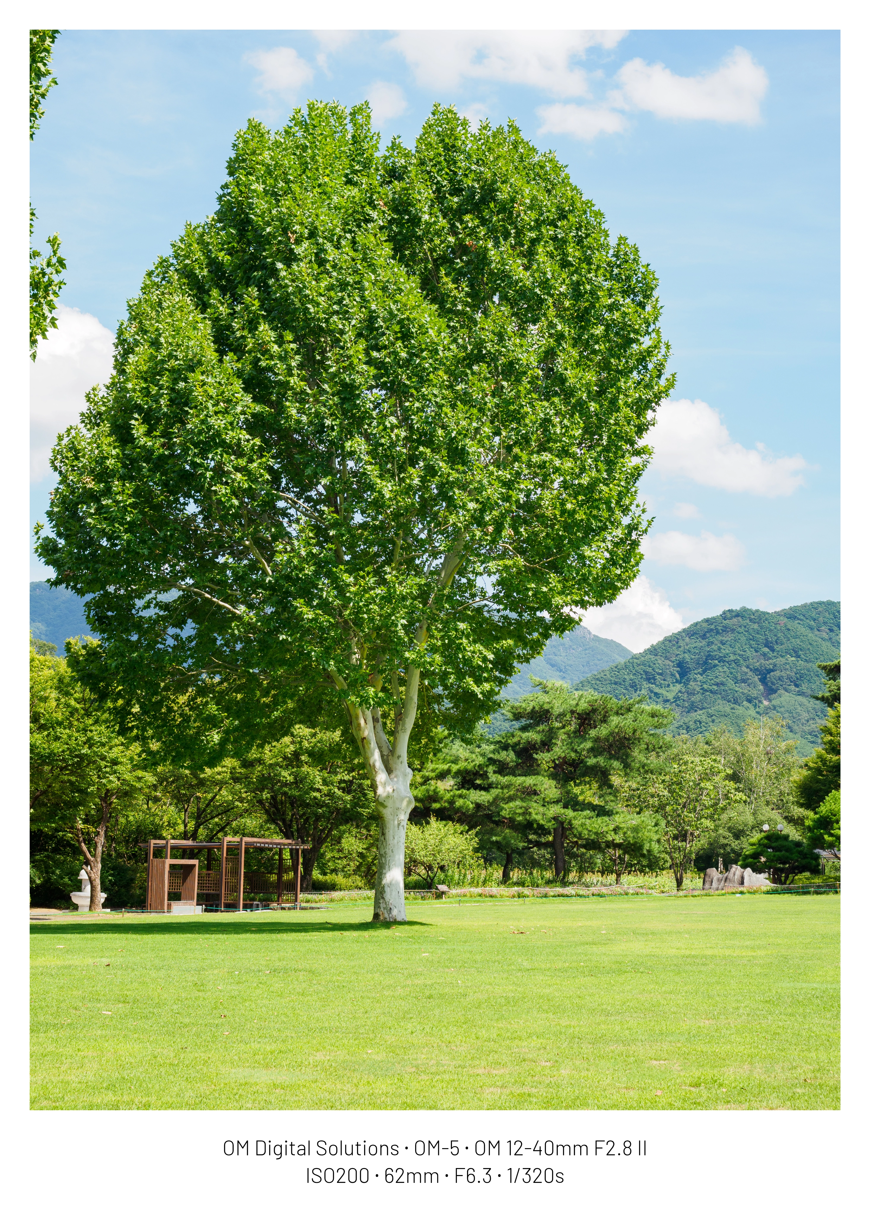 DC Inside 이미지 14