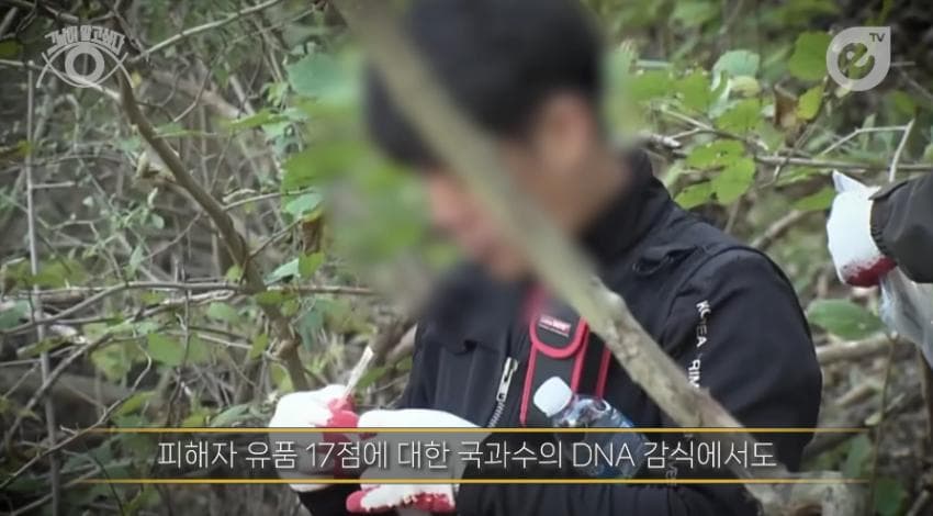 DC Inside 이미지 13