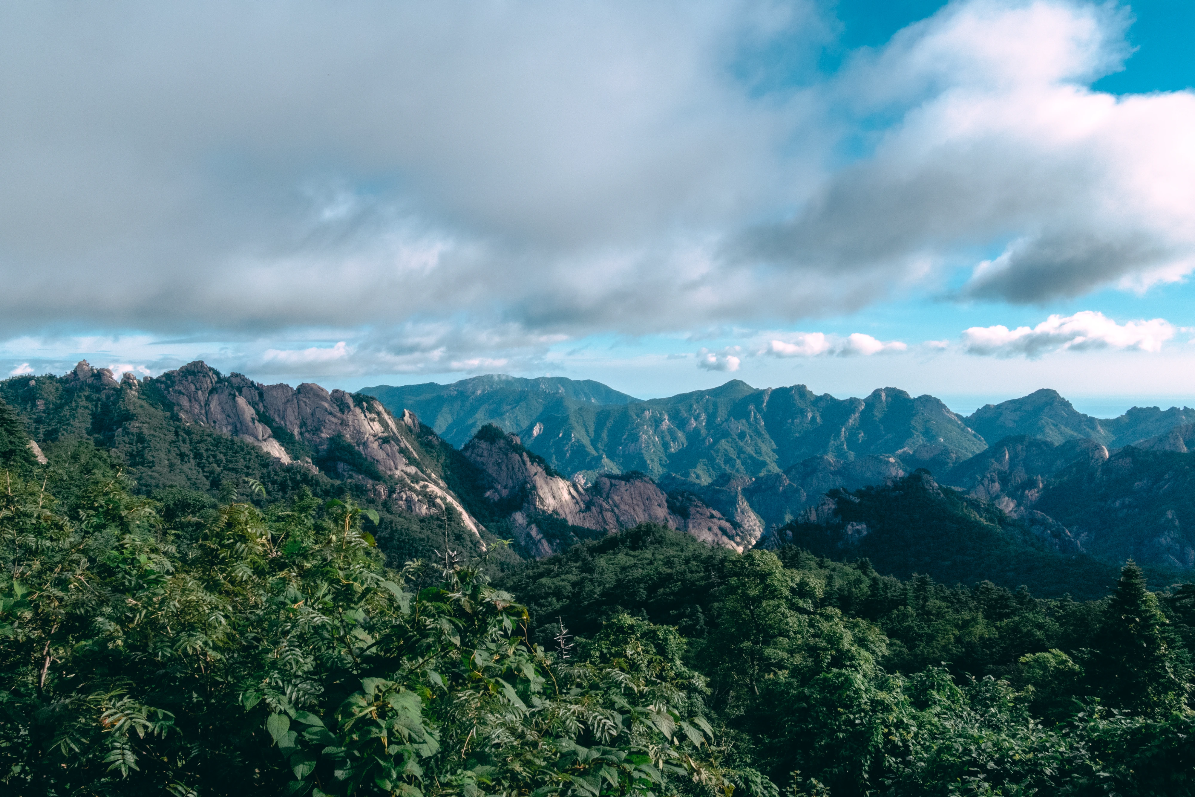 DC Inside 이미지 2