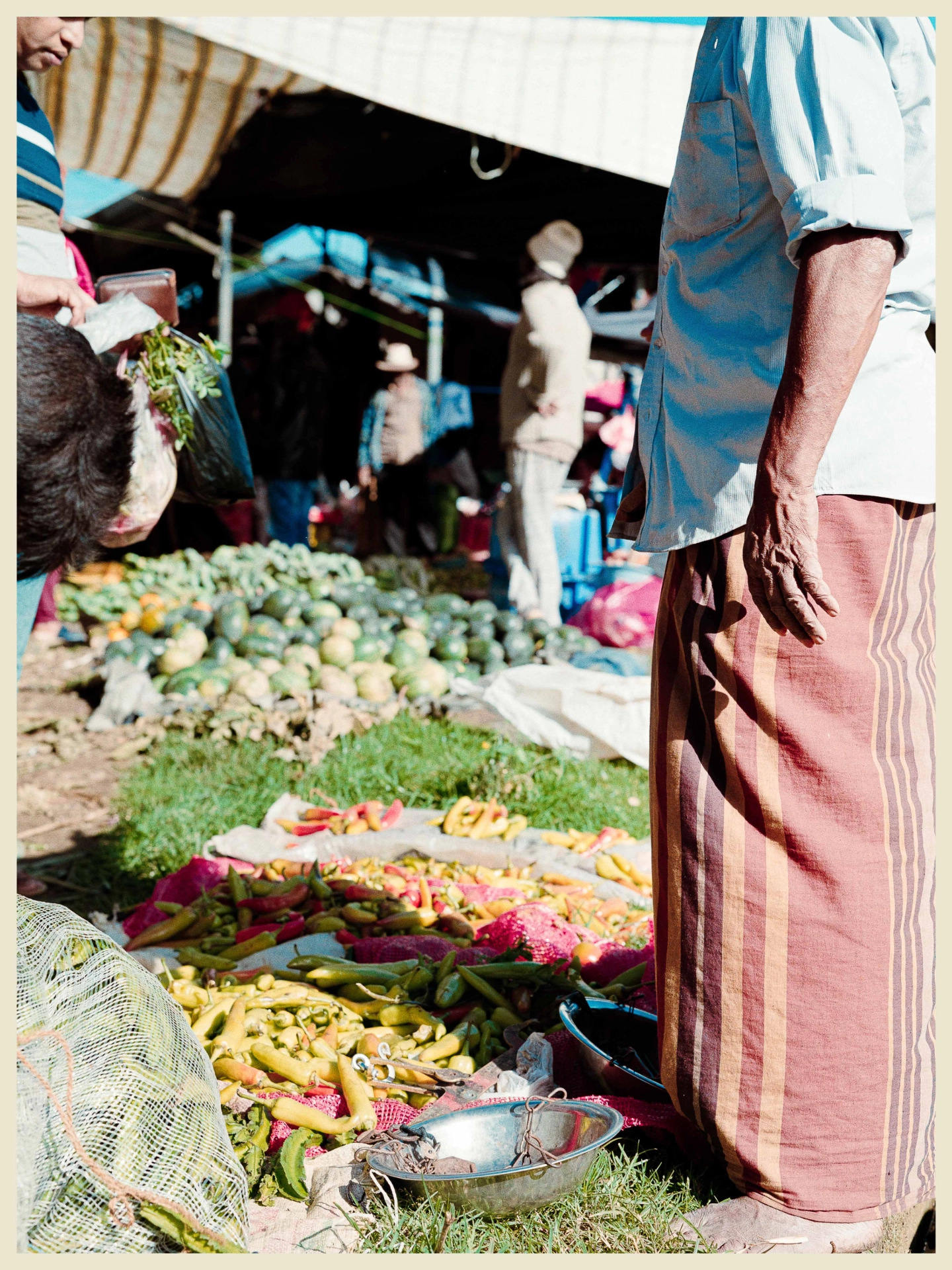 DC Inside 이미지 20