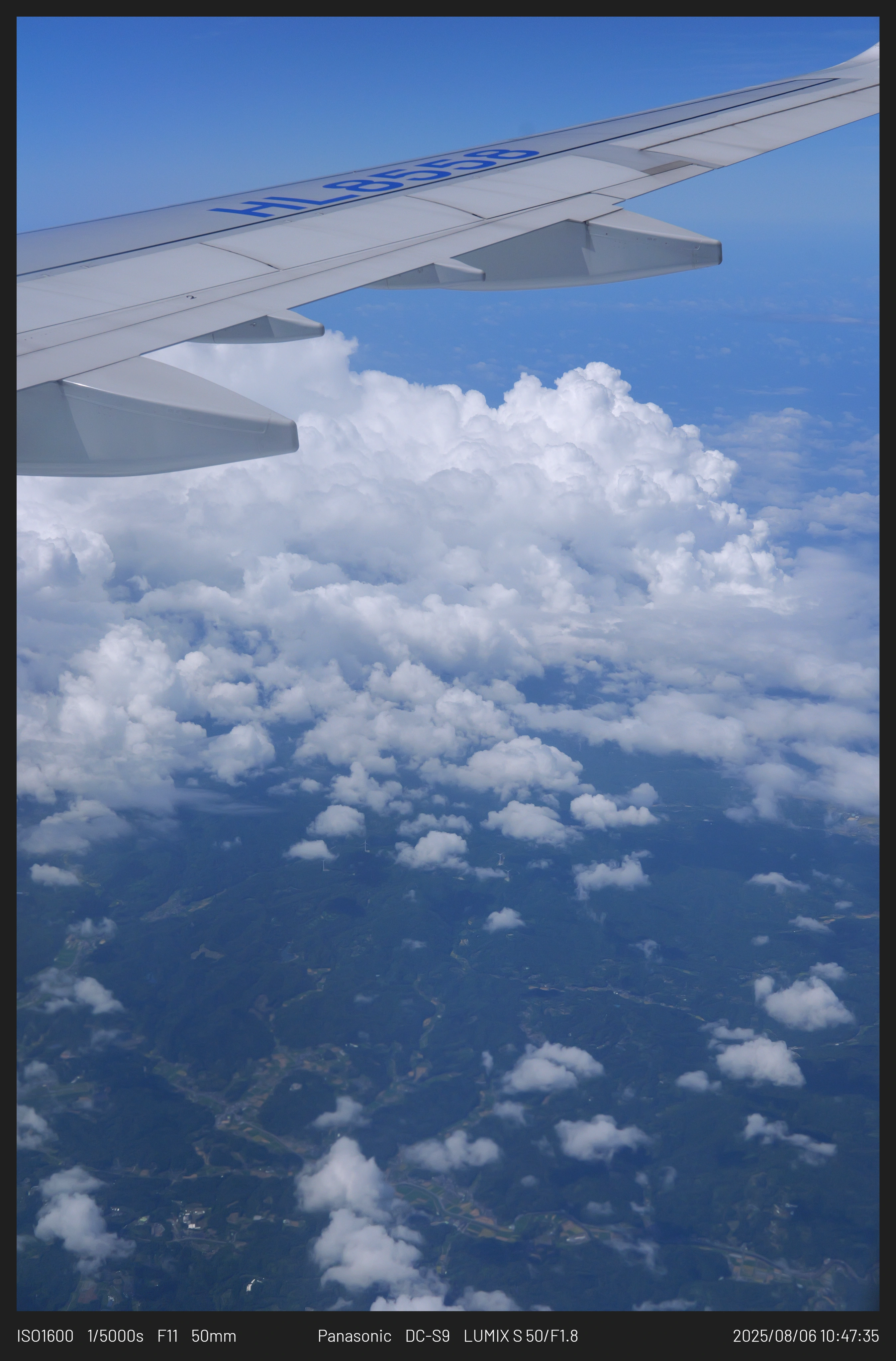 DC Inside 이미지 2