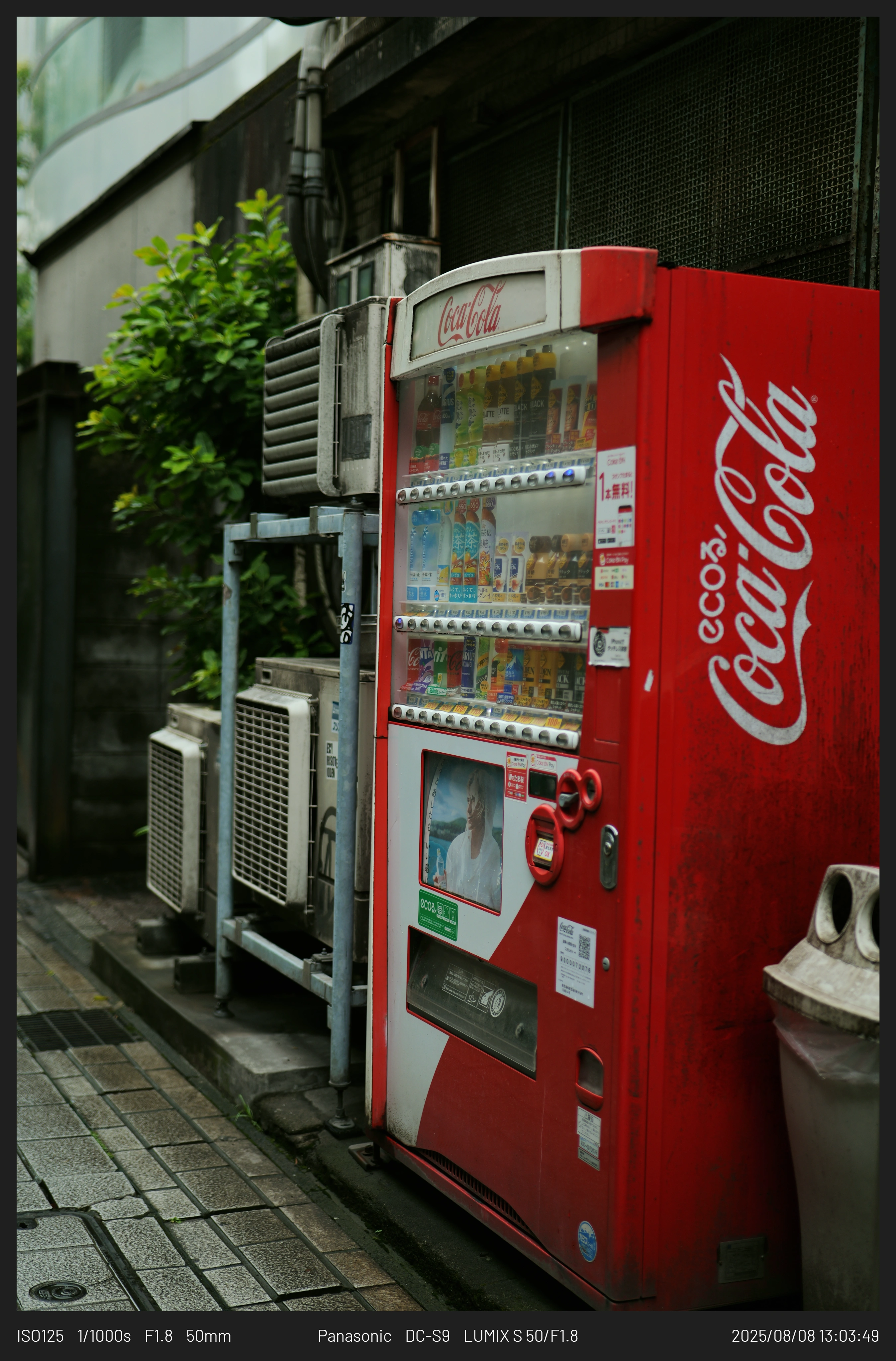 DC Inside 이미지 10