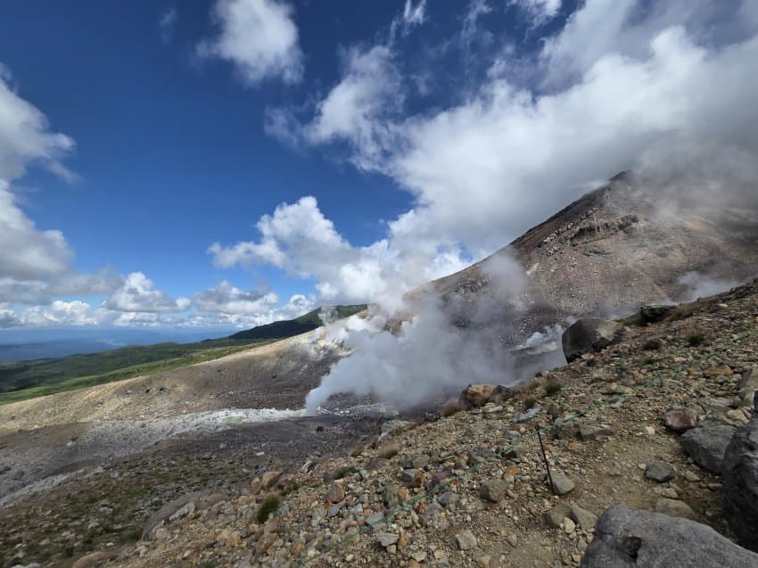 DC Inside 이미지 17