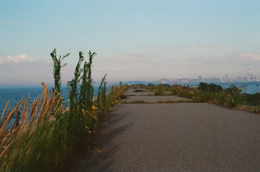 DC Inside 이미지 9