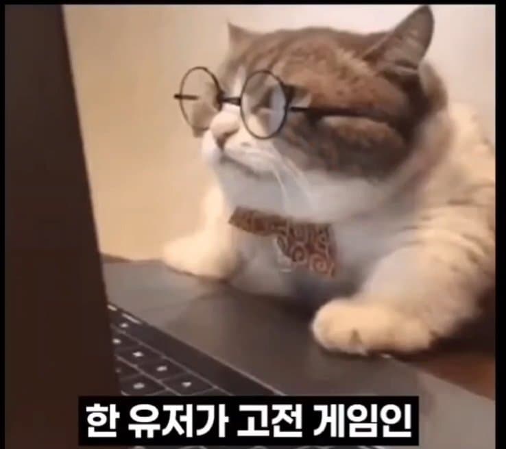 DC Inside 이미지 1