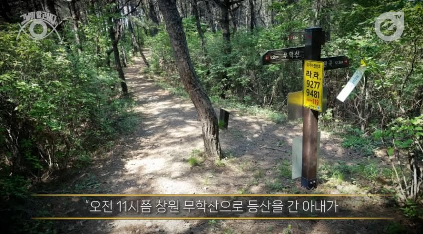 DC Inside 이미지 2