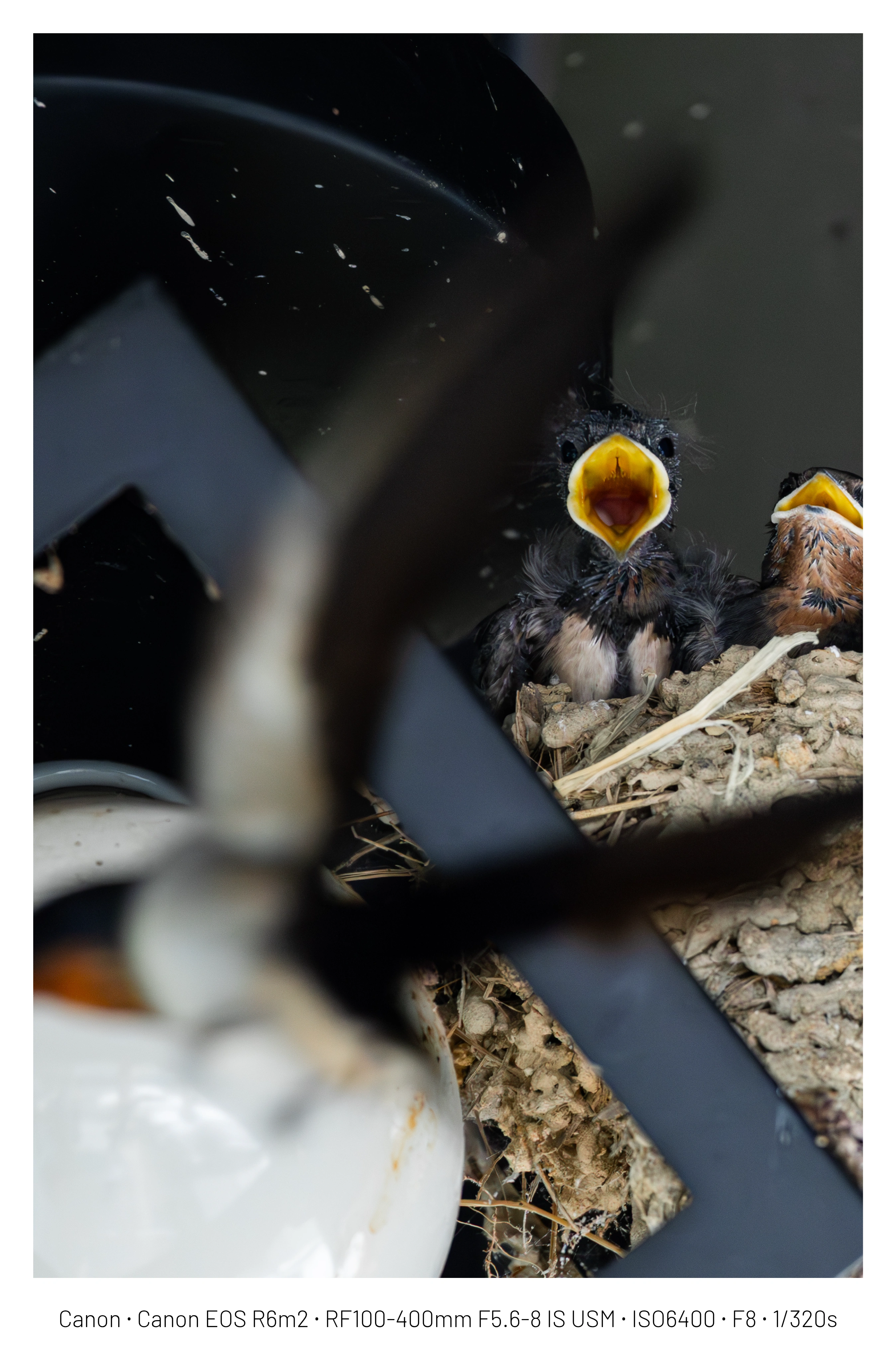 DC Inside 이미지 8