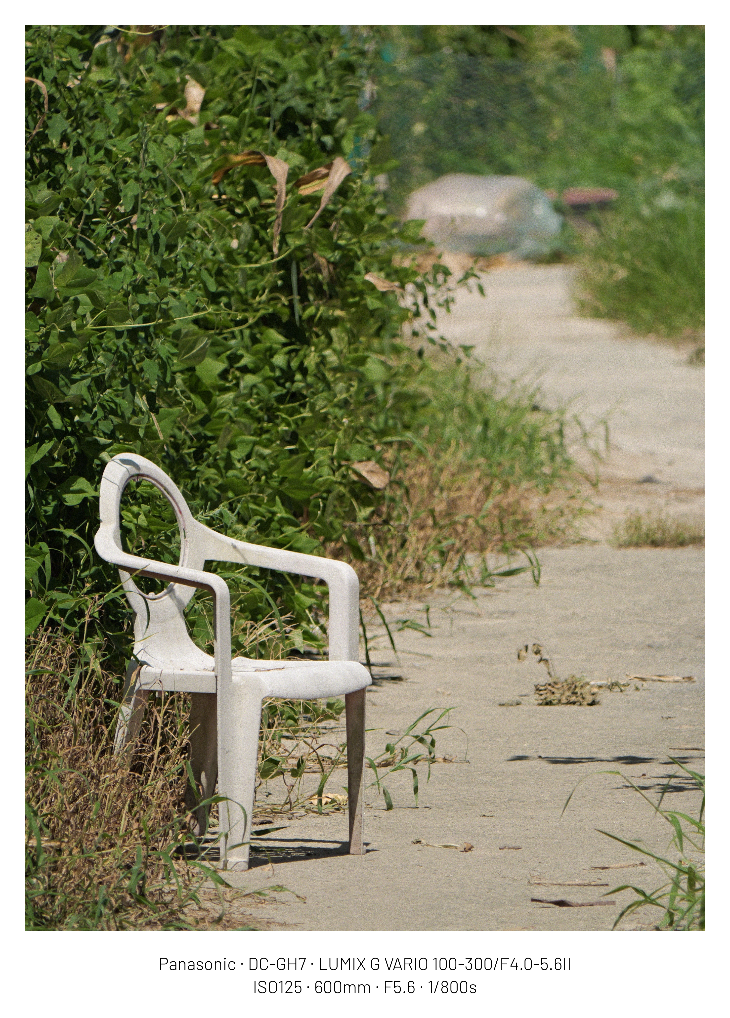 DC Inside 이미지 8