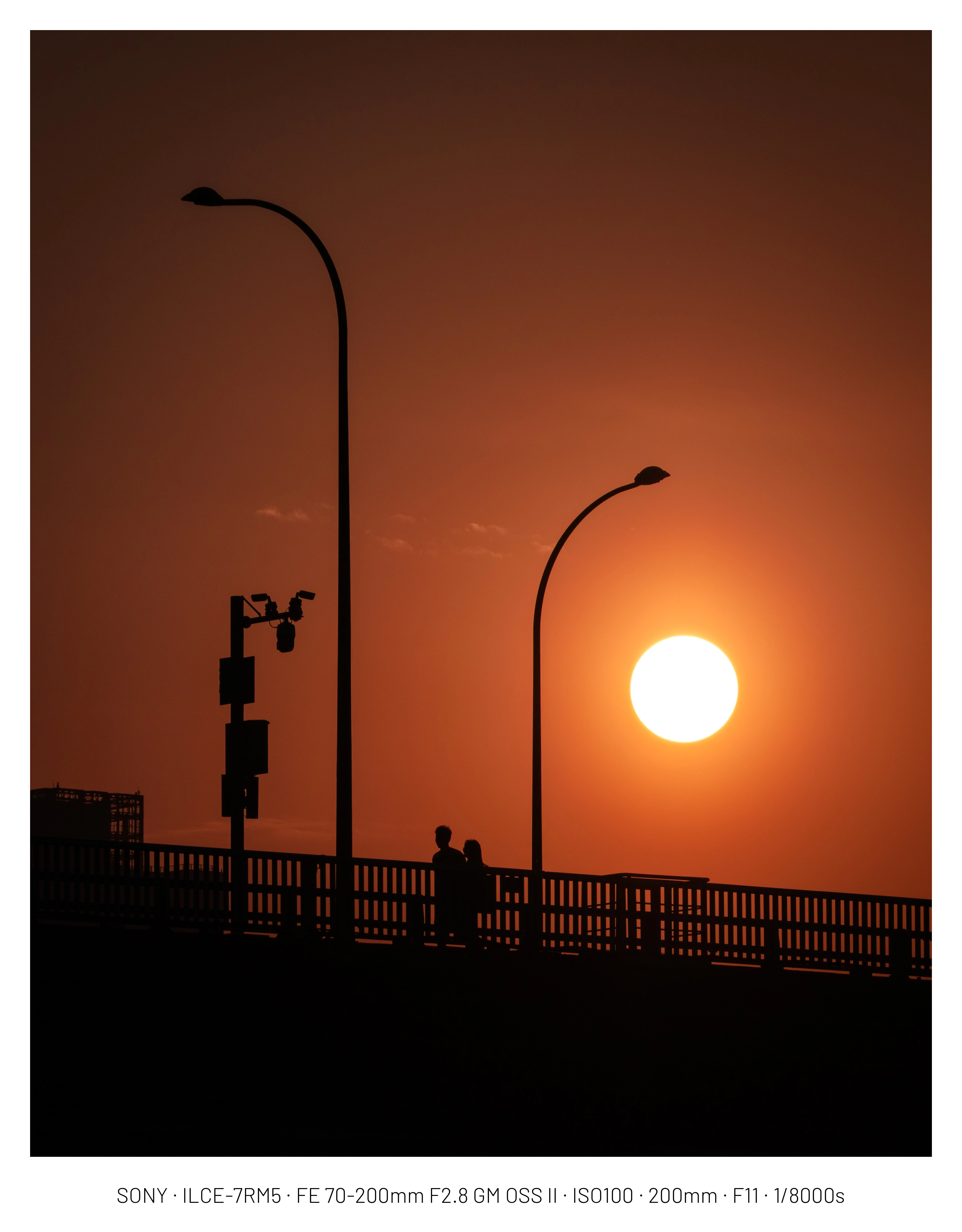 DC Inside 이미지 2