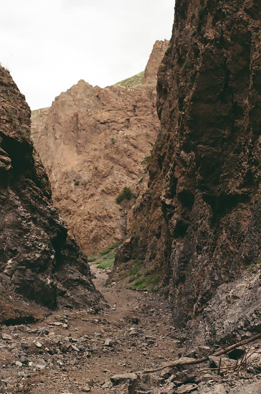 DC Inside 이미지 1