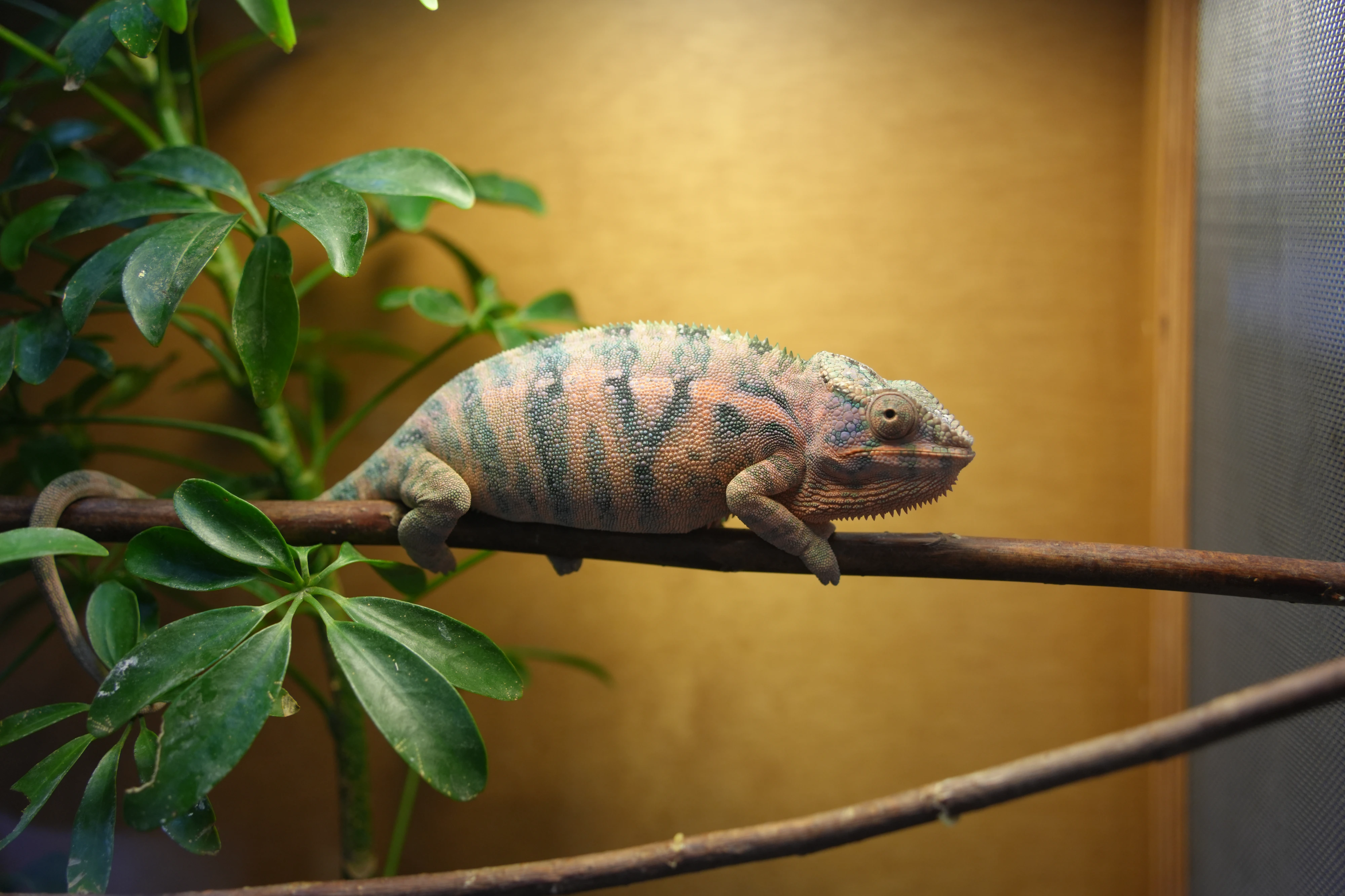 DC Inside 이미지 15