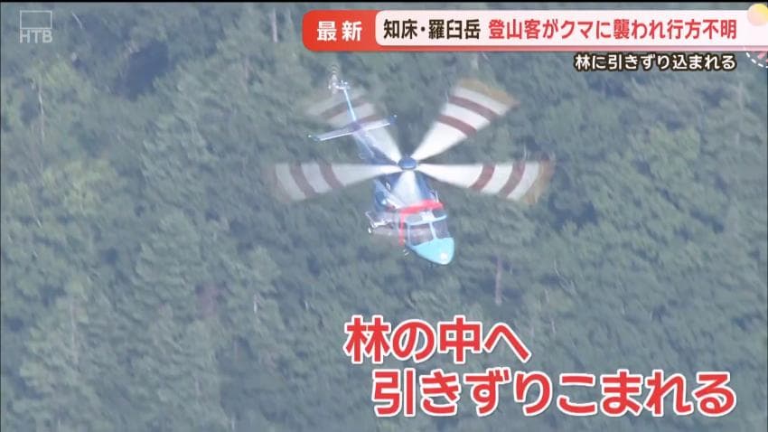 DC Inside 이미지 7