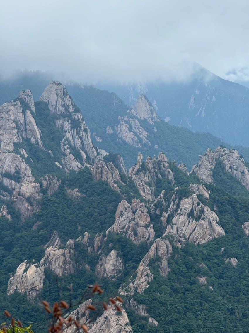 DC Inside 이미지 11