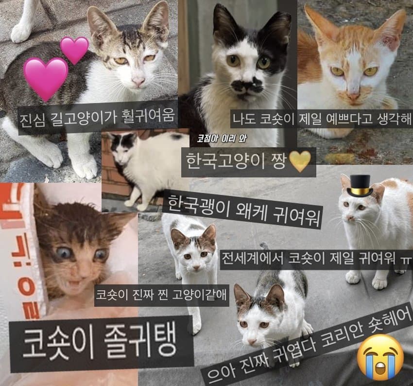 DC Inside 이미지 16