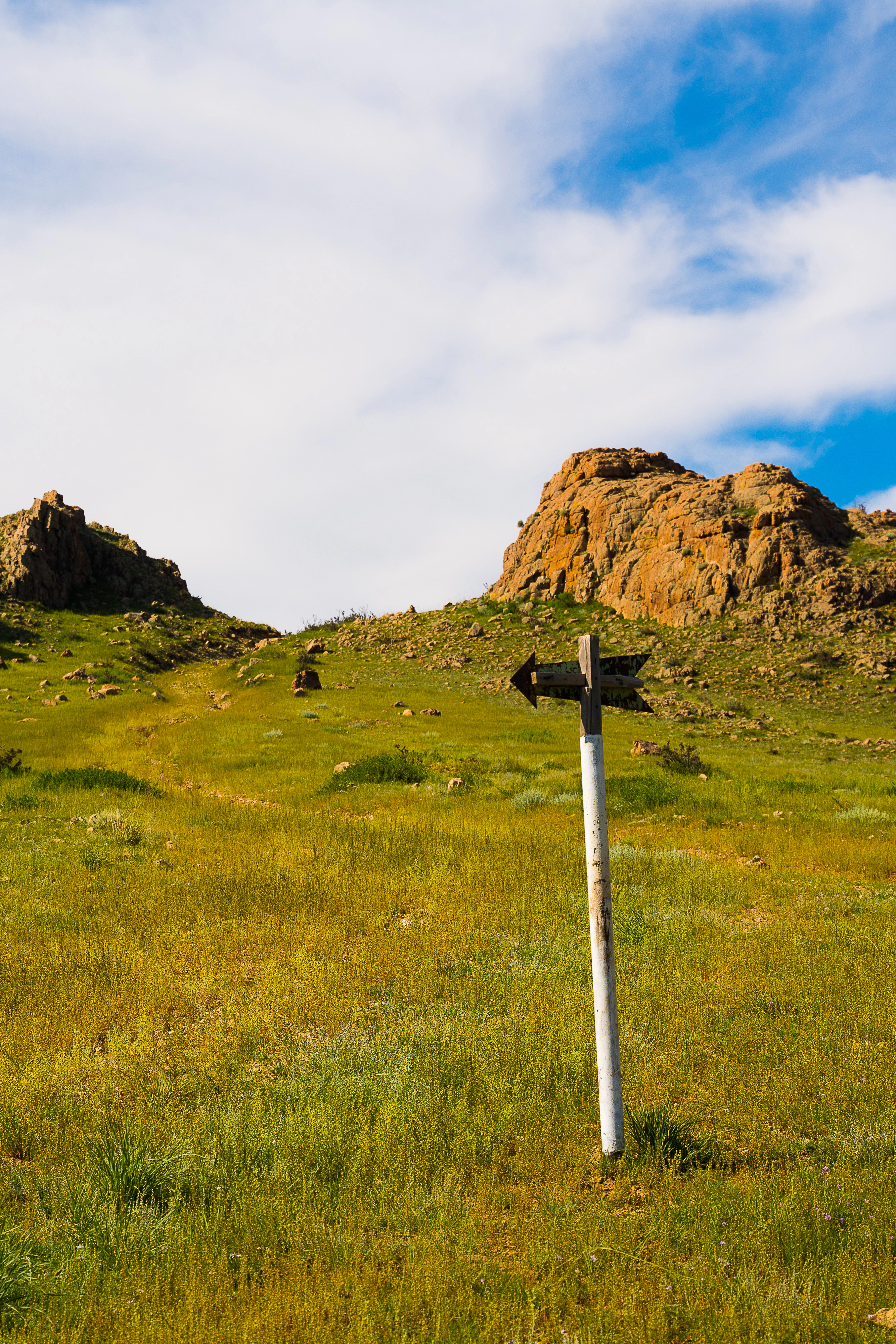 DC Inside 이미지 19