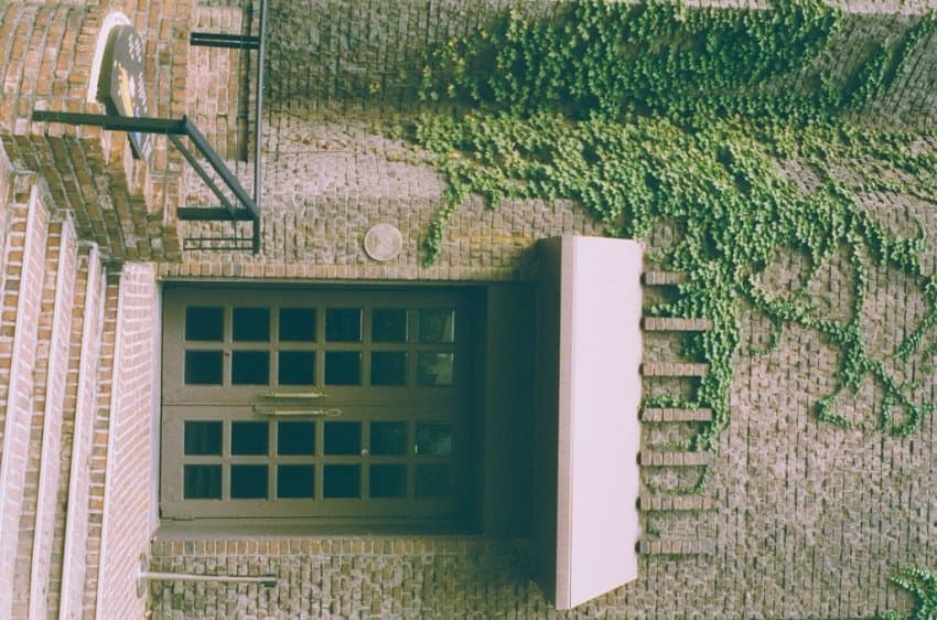 DC Inside 이미지 5