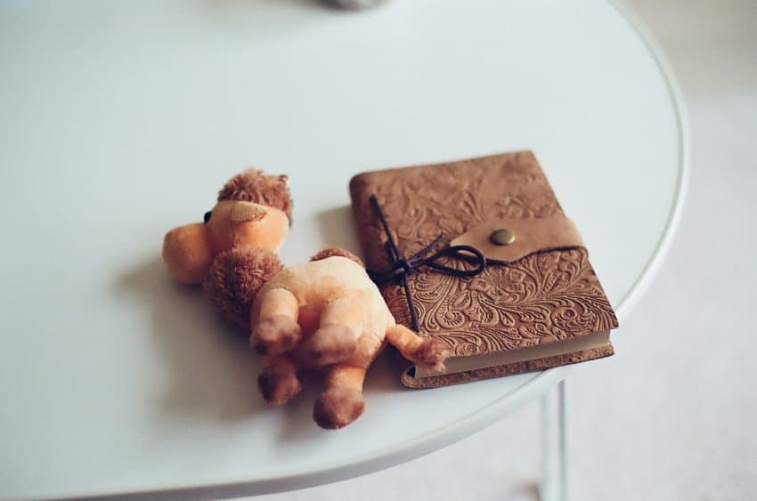 DC Inside 이미지 15