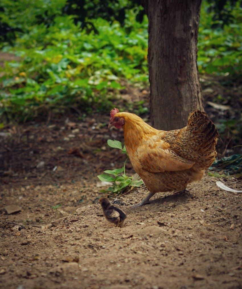 DC Inside 이미지 7