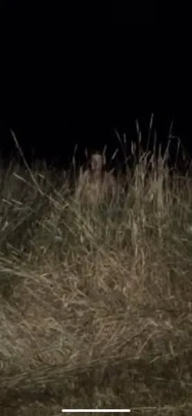 DC Inside 이미지 3