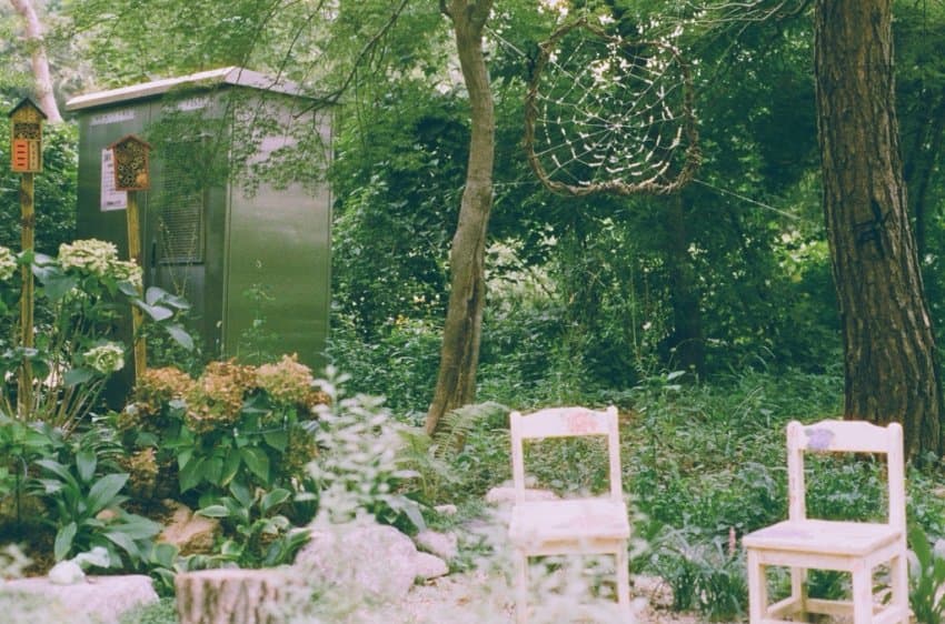 DC Inside 이미지 1