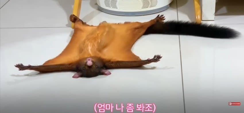DC Inside 이미지 9