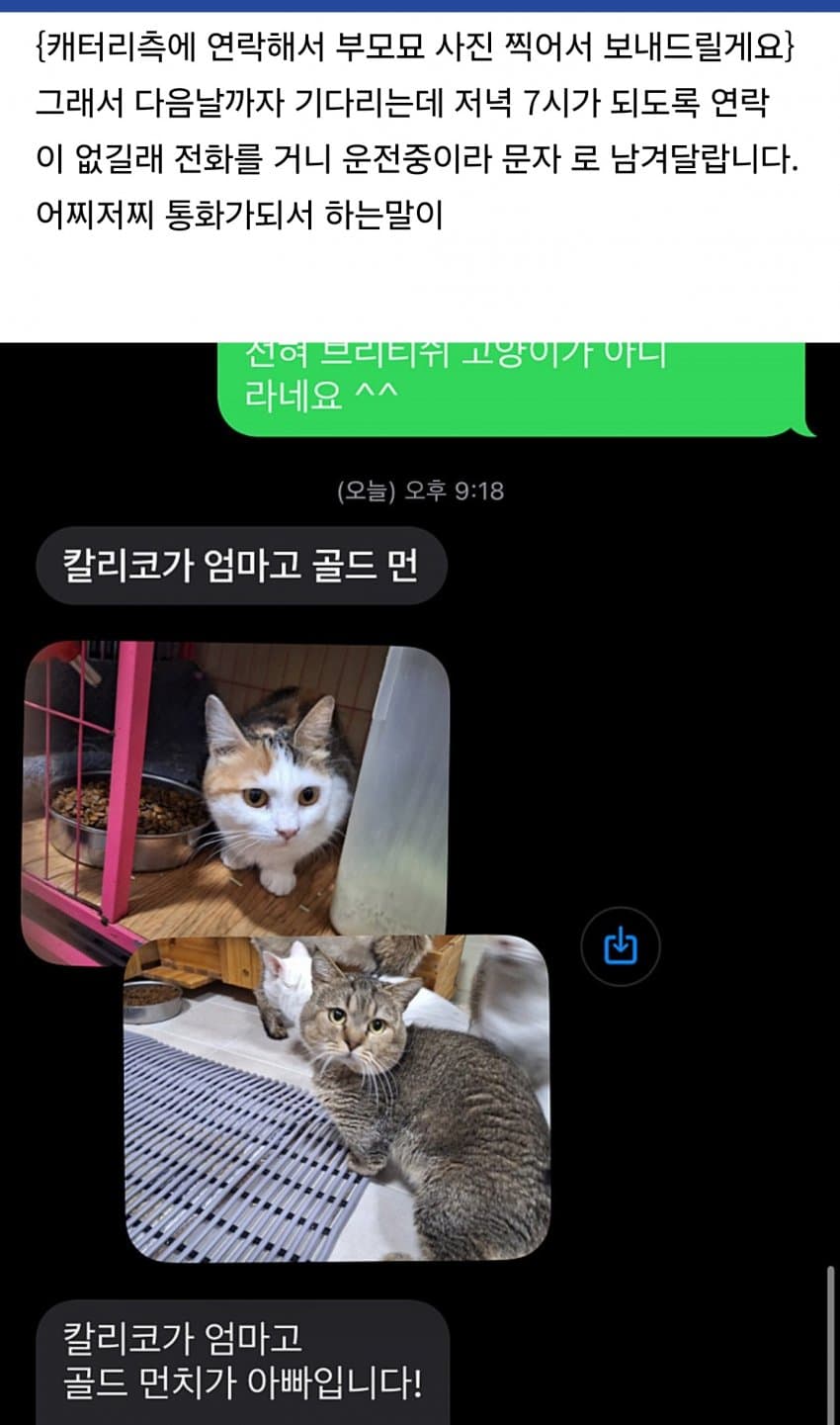 DC Inside 이미지 6