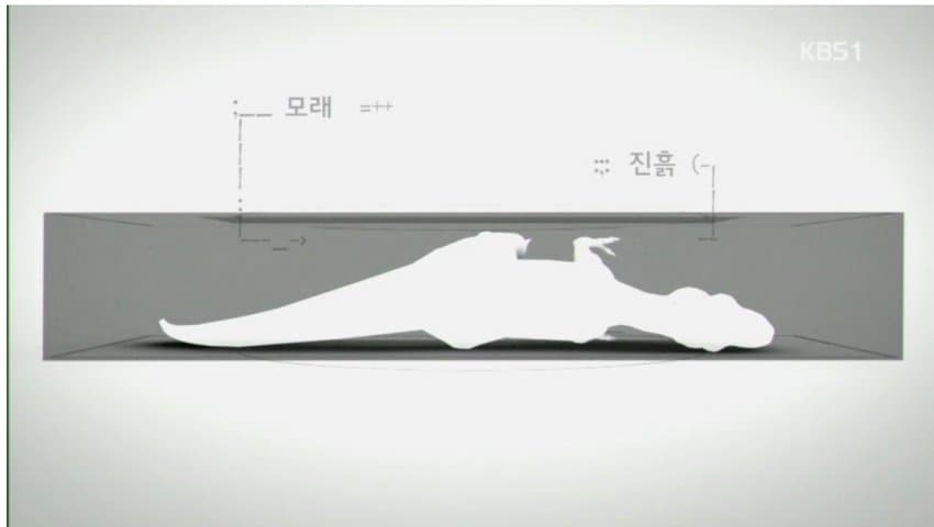 DC Inside 이미지 9