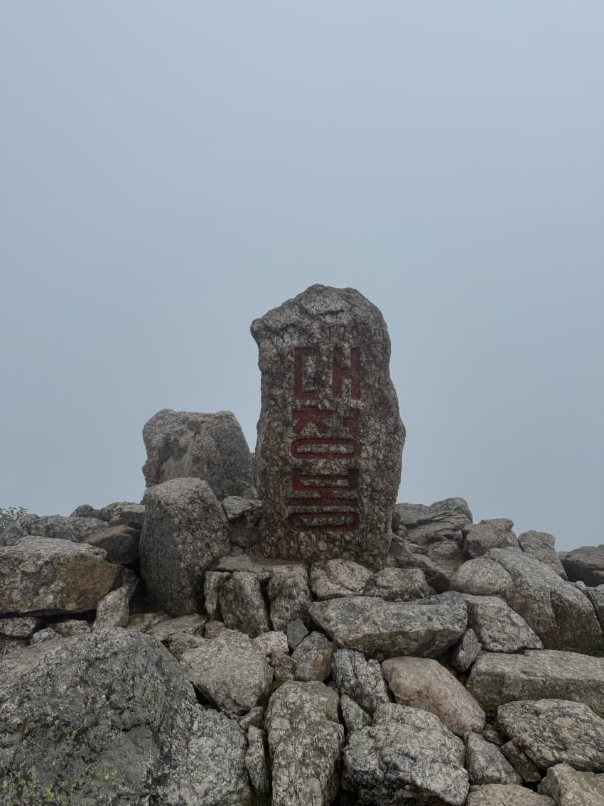 DC Inside 이미지 9