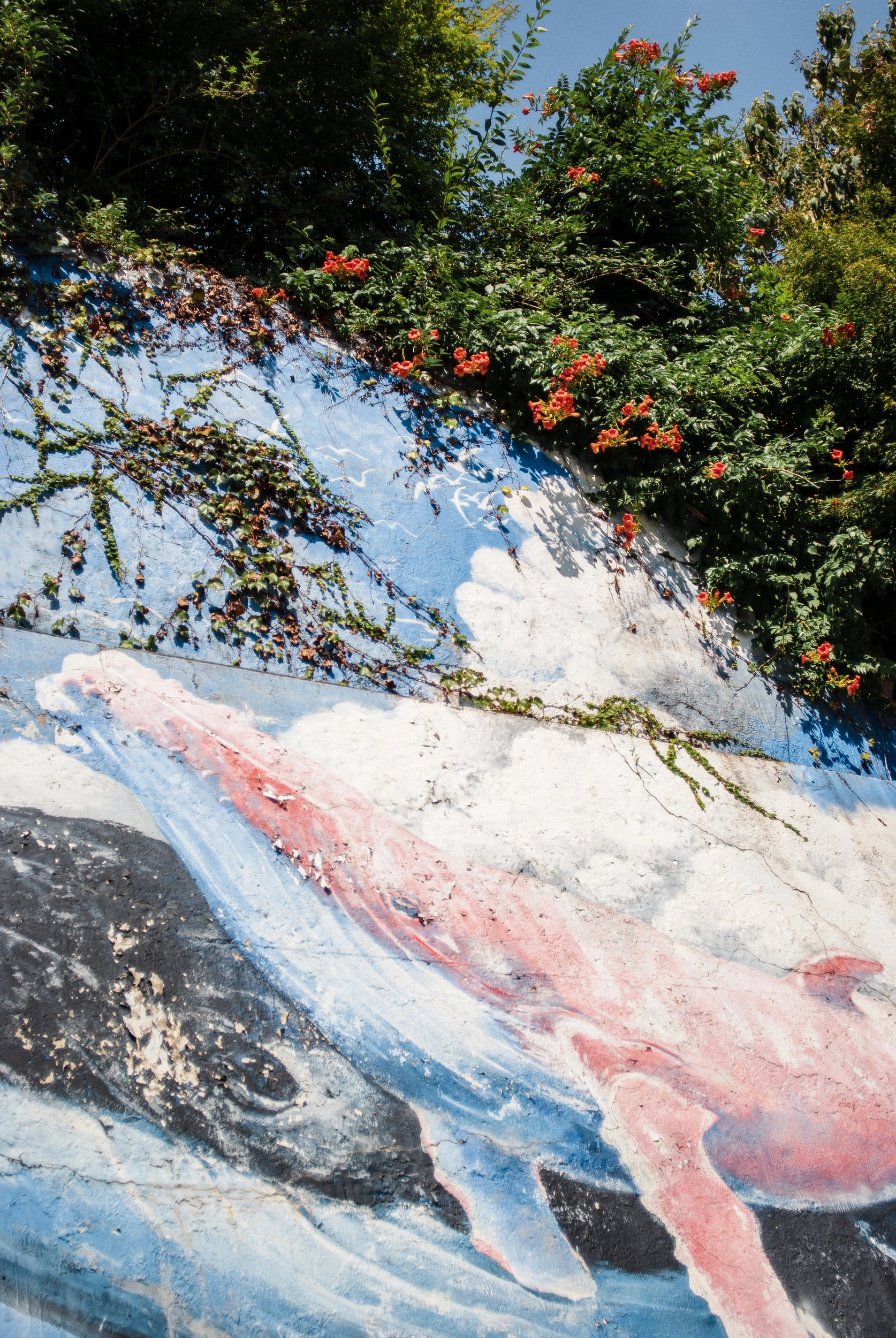 DC Inside 이미지 9