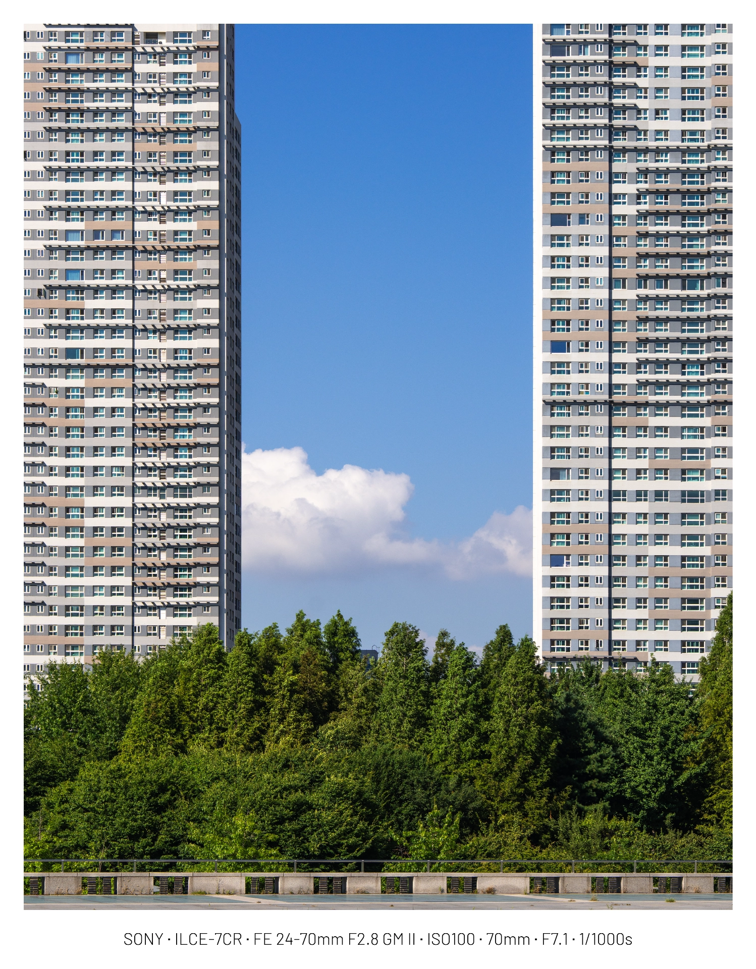 DC Inside 이미지 1