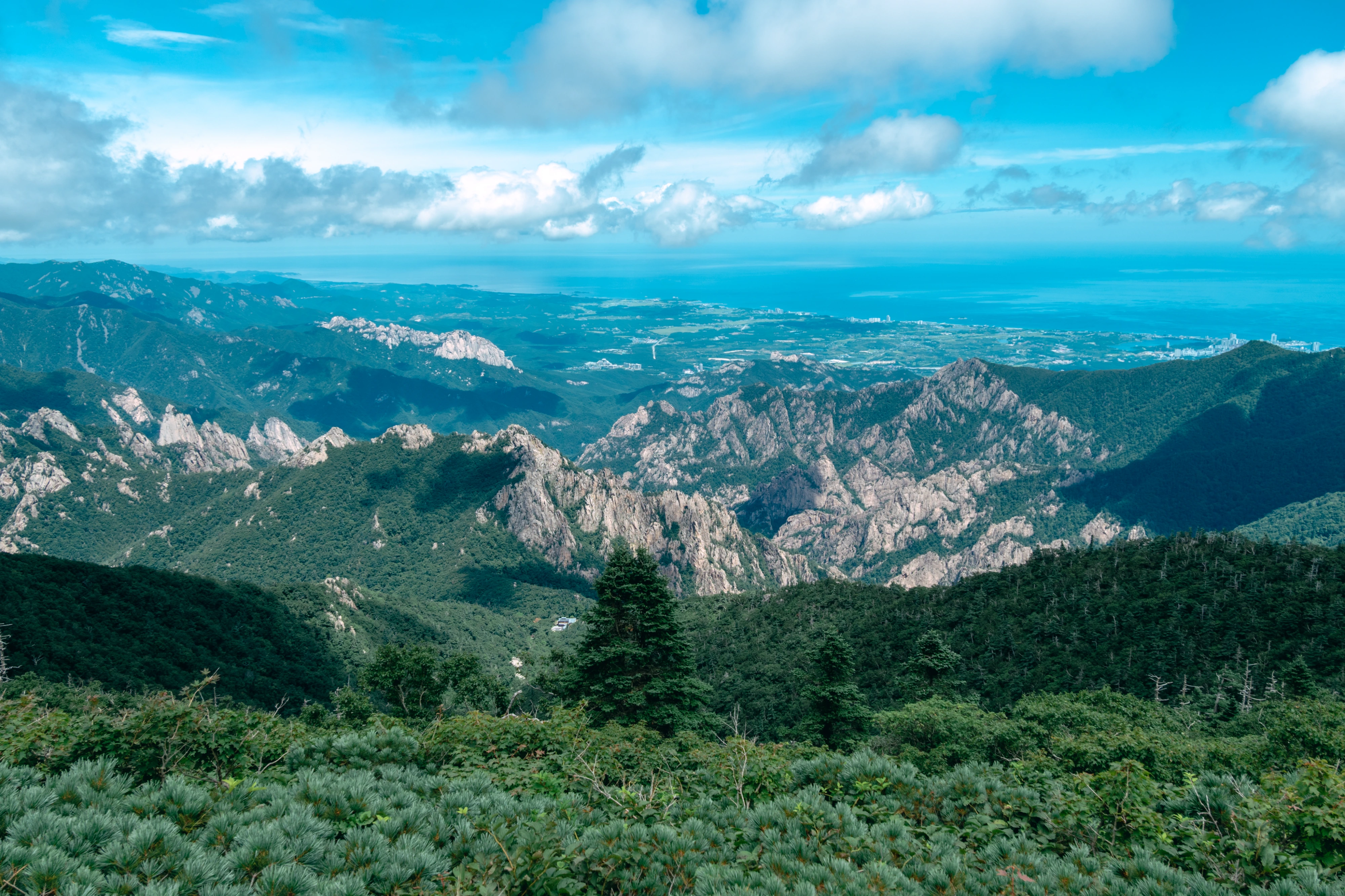 DC Inside 이미지 12