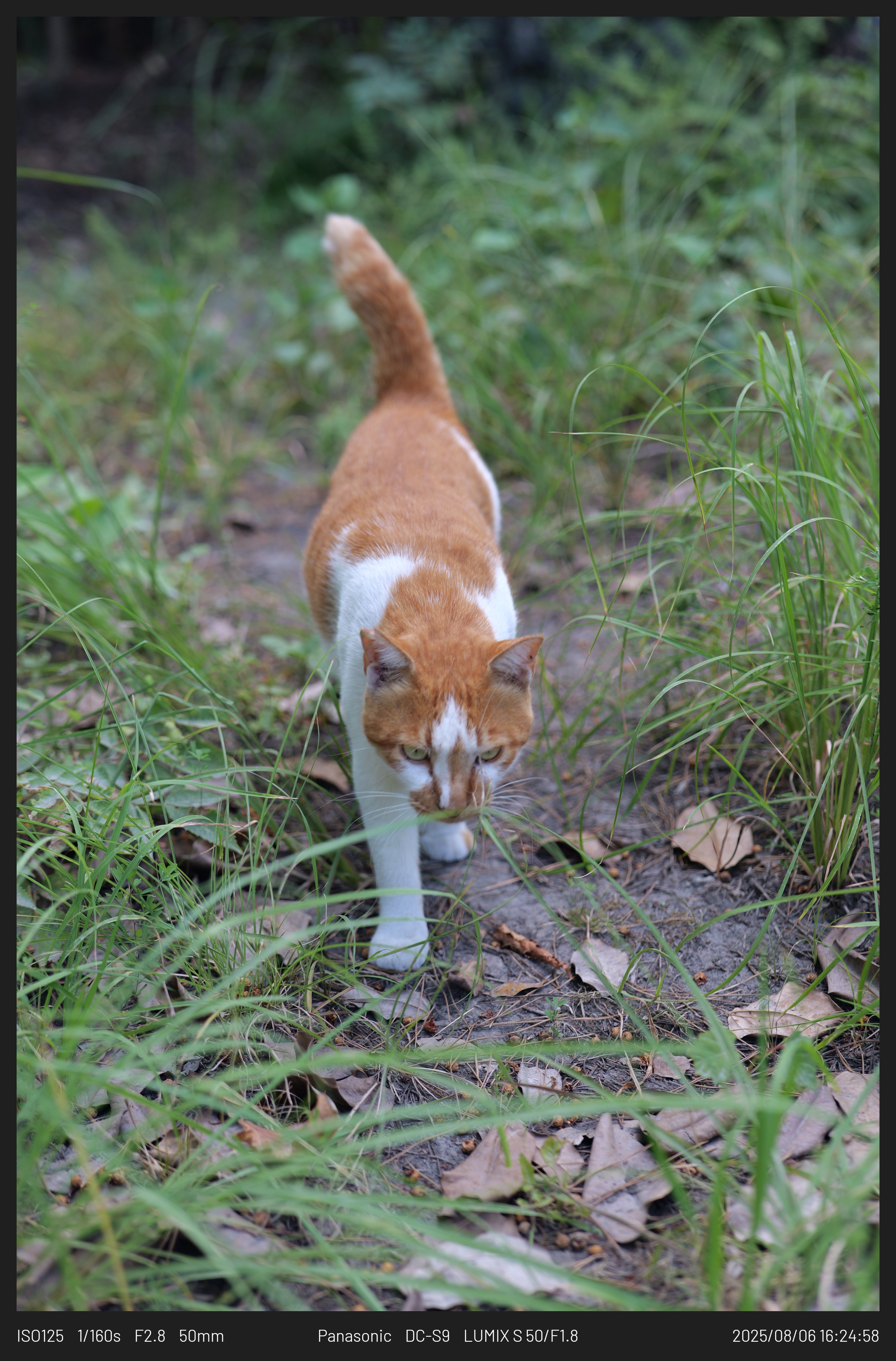 DC Inside 이미지 6