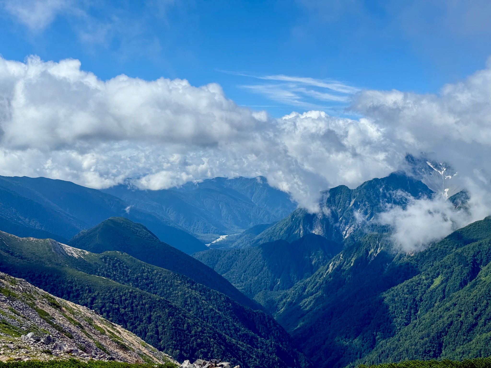 DC Inside 이미지 6