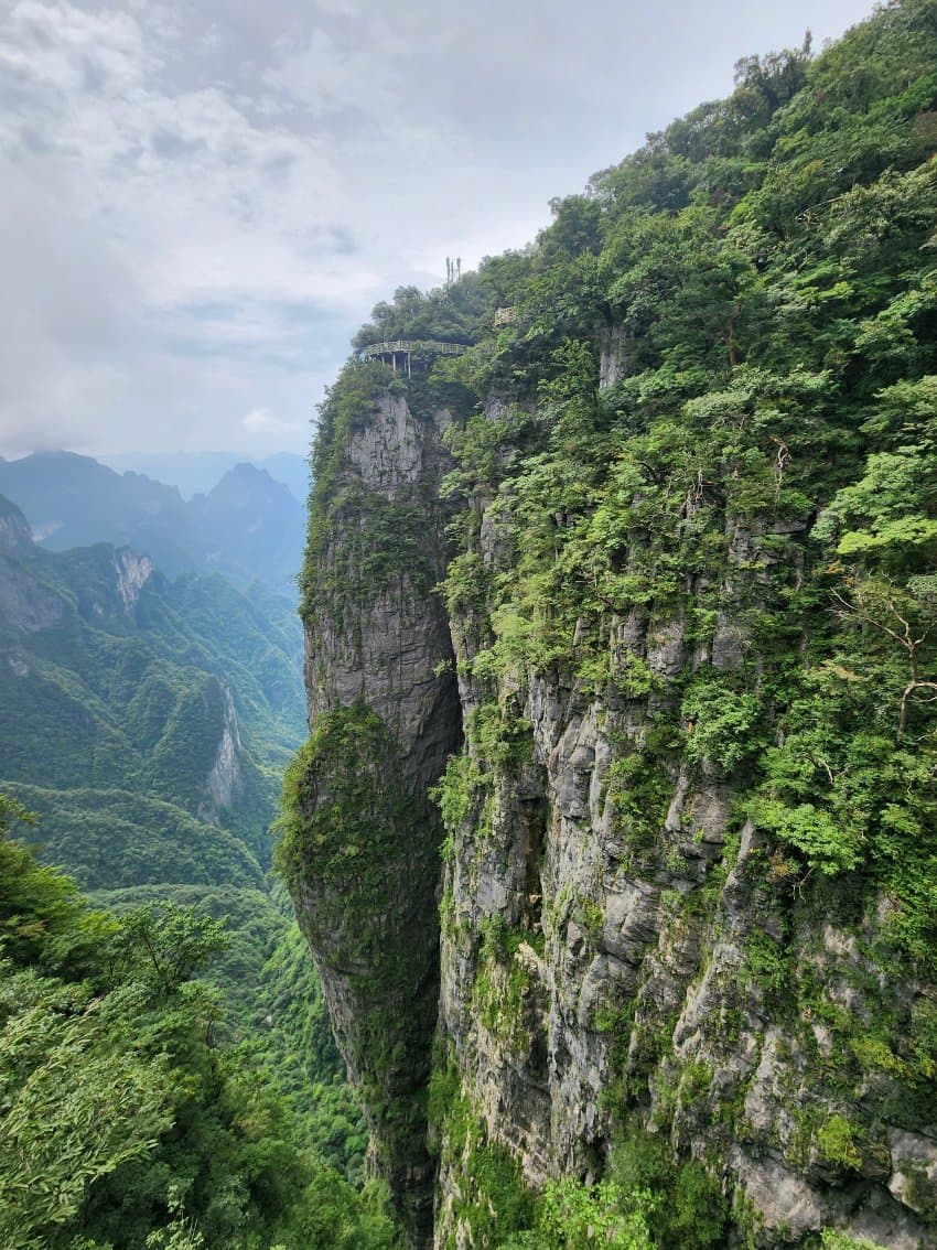 DC Inside 이미지 4