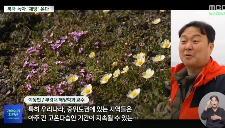 DC Inside 이미지 9