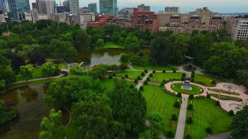 DC Inside 이미지 4