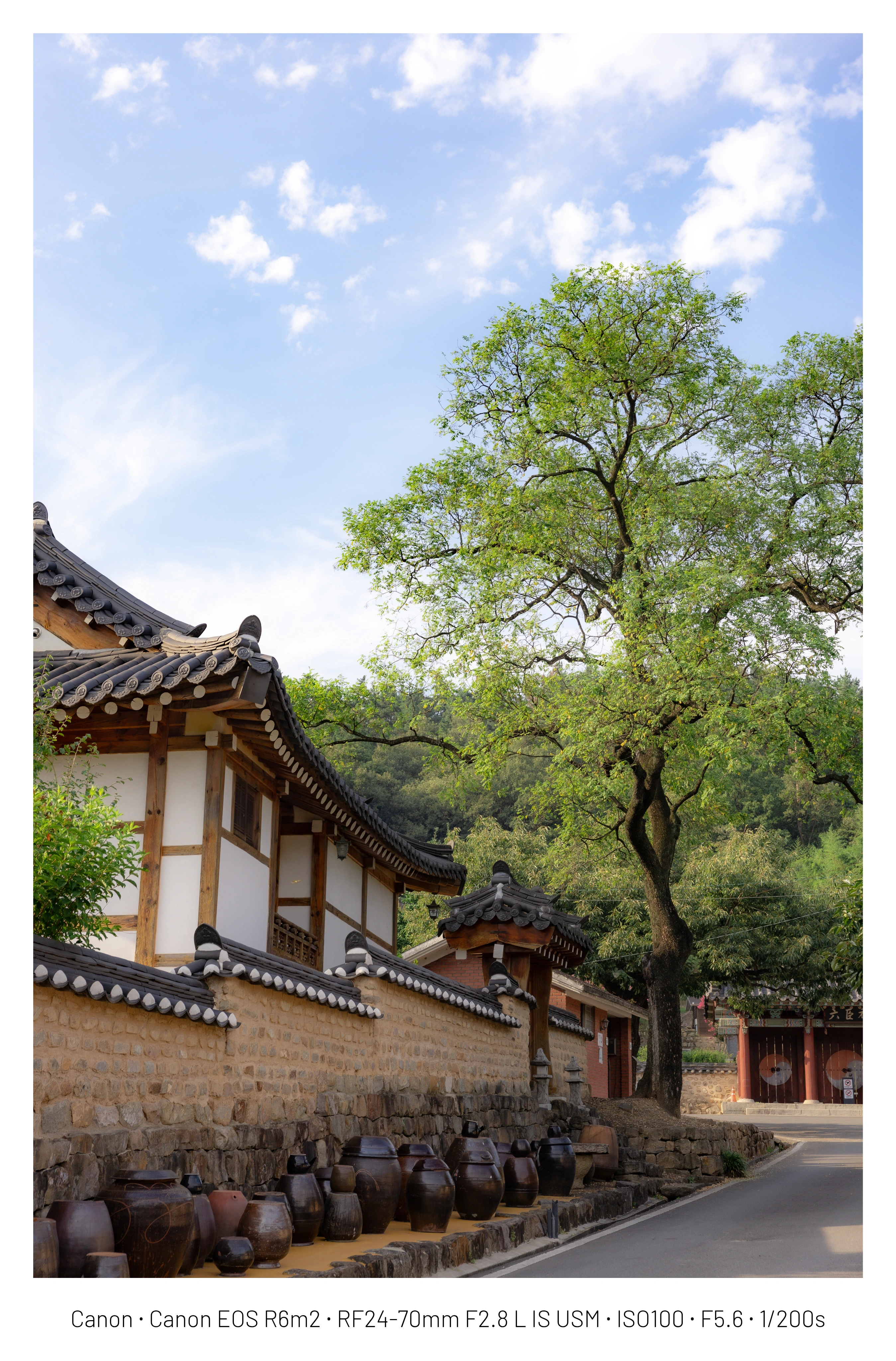 DC Inside 이미지 10