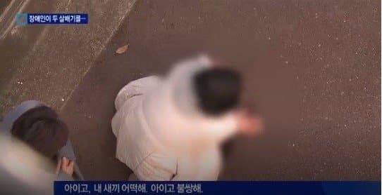 DC Inside 이미지 8