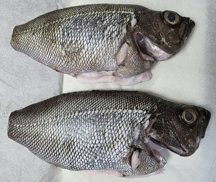 DC Inside 이미지 10